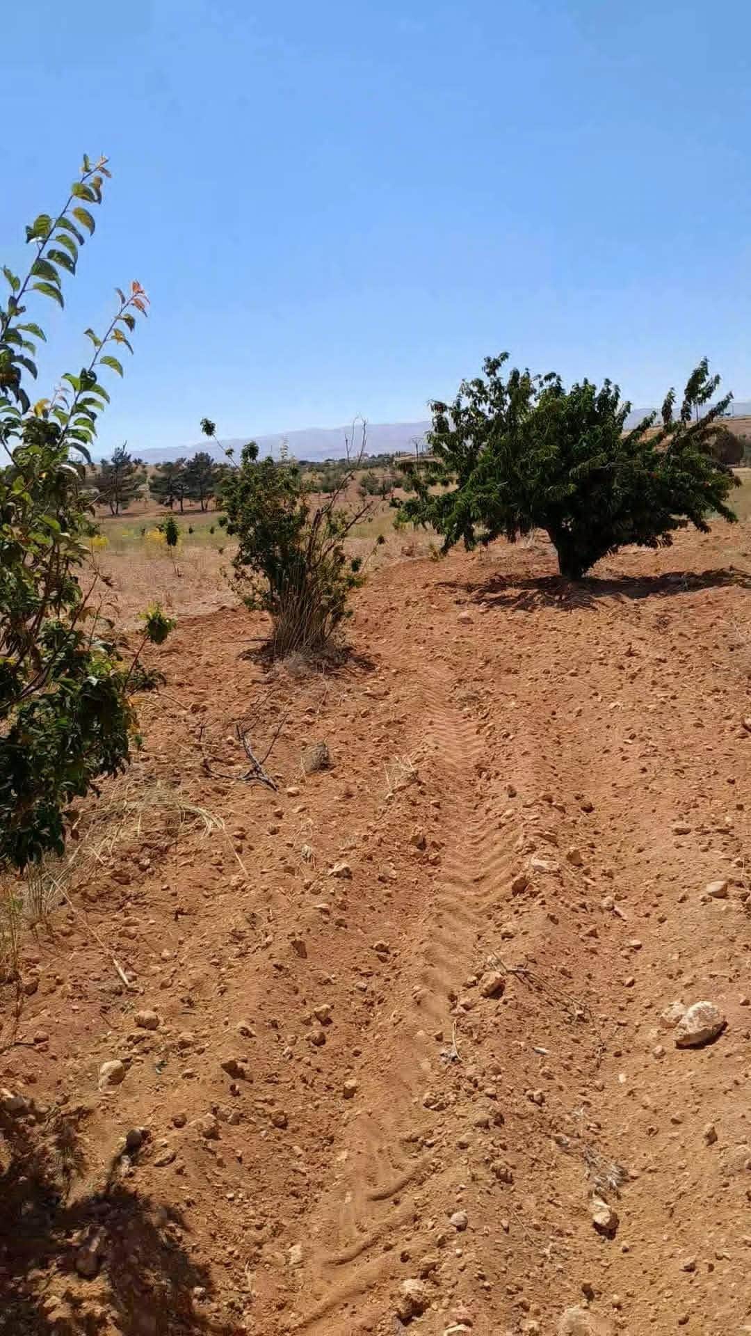أرض للبيع في رنكوس، ريف دمشق 4 دونم